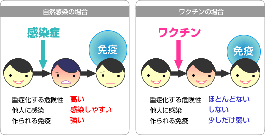 予防可能な病気は、予防してあげましょう!